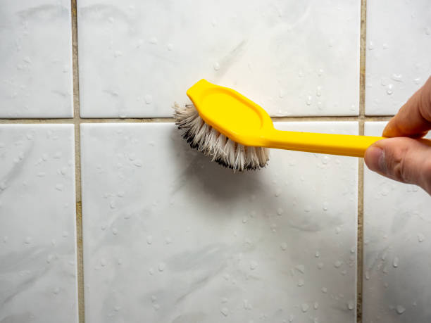 Best Mold Remediation Services  in Rainbow Park, FL
