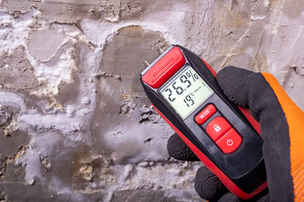 Best Best Mold Removal Companies  in Rainbow Park, FL