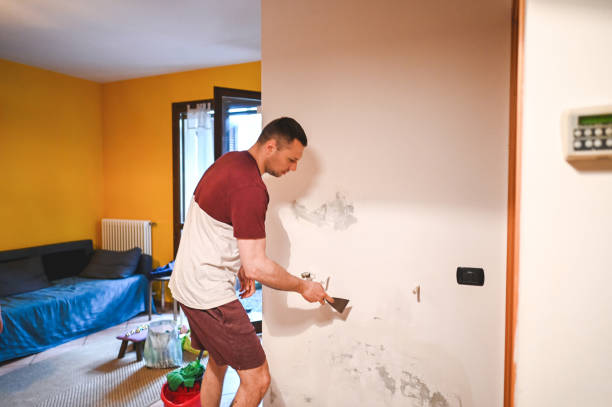 Best Commercial Mold Removal  in Rainbow Park, FL